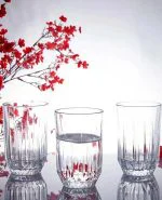 لیوان مدل اکو پاشاباغچه کد520272