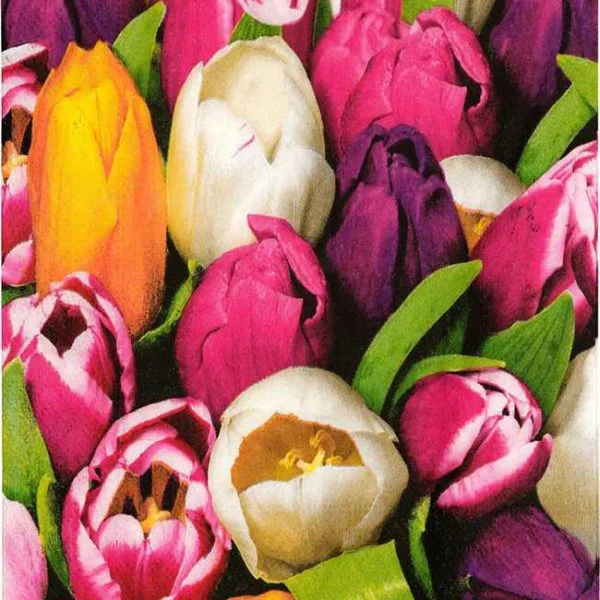 دستمال سفره کاغذی کاراجاهوم کد628