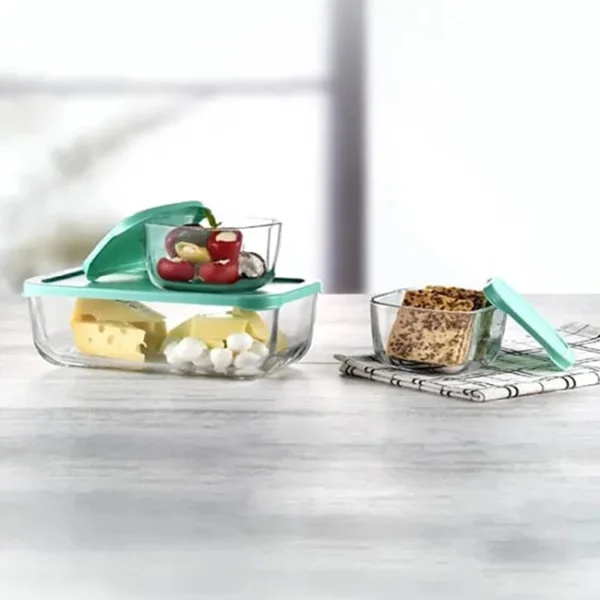 ظرف نگهدارنده پاشاباغچه کد96881