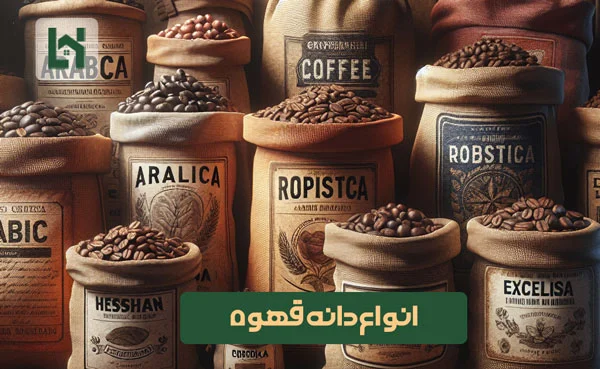انواع دانه قهوه